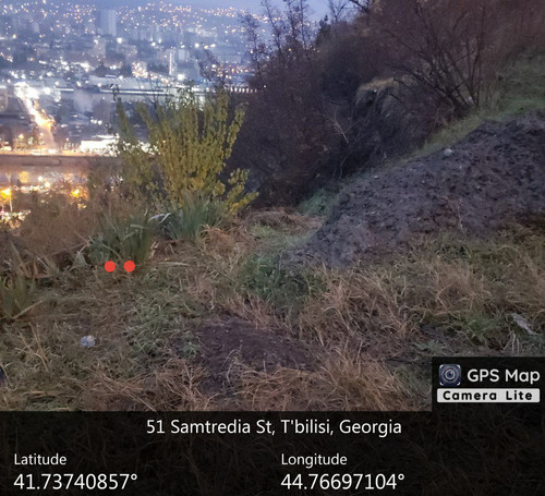 IMG 20231209 082504 669.jpg