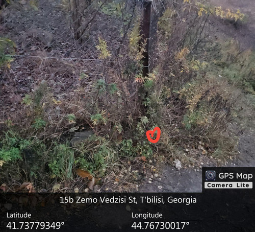 IMG 20231209 082457 589.jpg