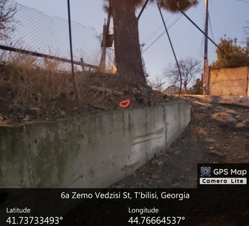 IMG 20231209 082504 833.jpg