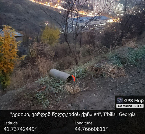 IMG 20231209 082504 746.jpg