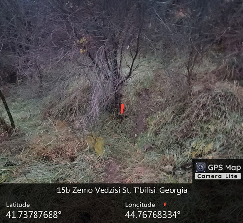 IMG 20231209 083104 750.jpg