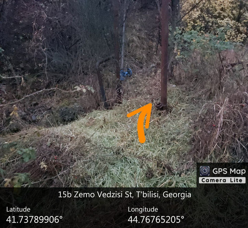 IMG 20231209 083105 159.jpg