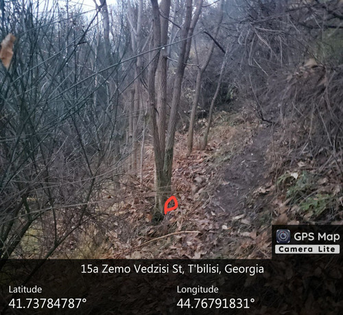 IMG 20231209 083105 505.jpg