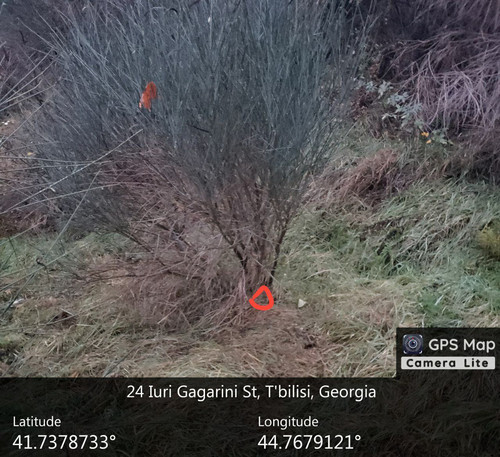 IMG 20231209 083105 063.jpg