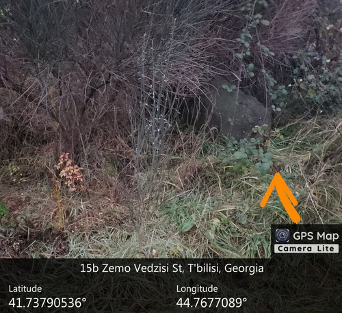 IMG 20231209 083104 898.jpg