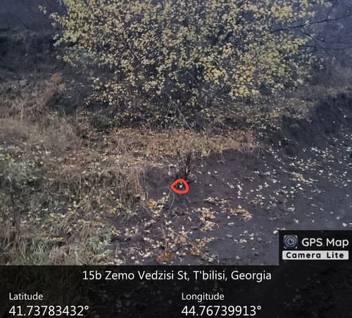 IMG 20231209 083109 904.jpg