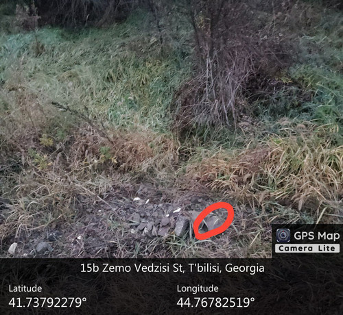 IMG 20231209 083105 038.jpg