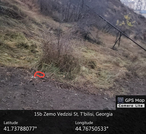 IMG 20231209 083105 427.jpg