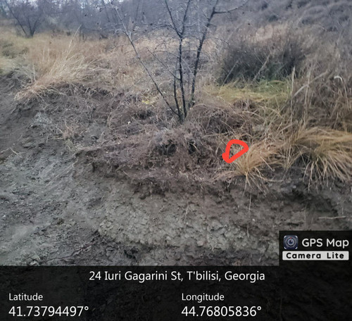 IMG 20231209 083104 716.jpg