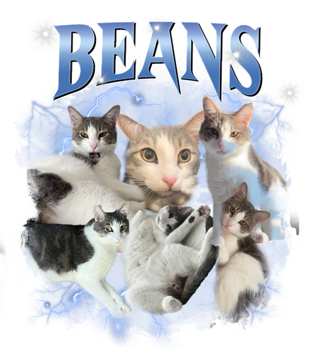beans.png