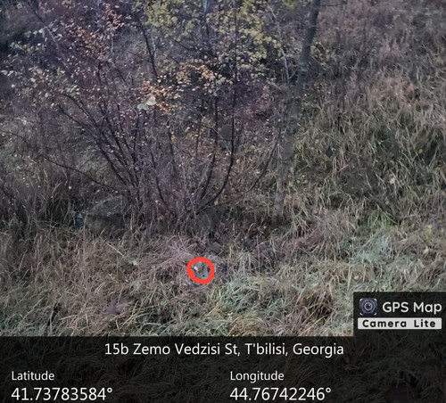 IMG 20231209 083104 925.jpg