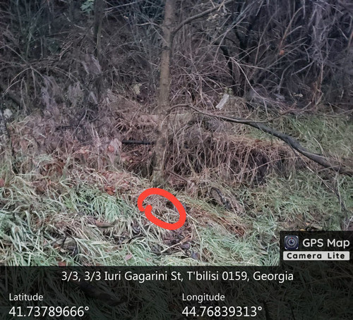 IMG 20231209 083057 147.jpg