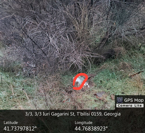 IMG 20231209 083057 623.jpg