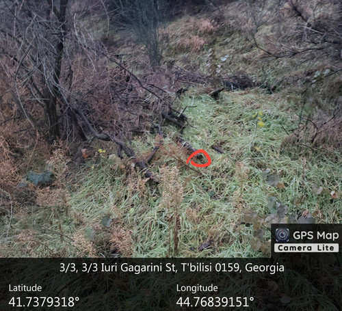 IMG 20231209 083057 349.jpg