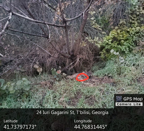 IMG 20231209 083057 304.jpg