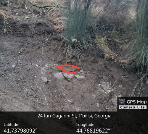 IMG 20231209 083057 476.jpg