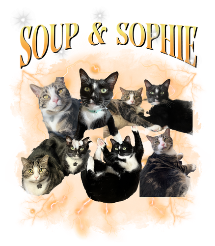 soup and sophy.png
