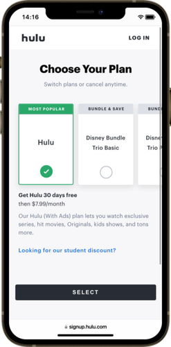 Choose Your Plan.png