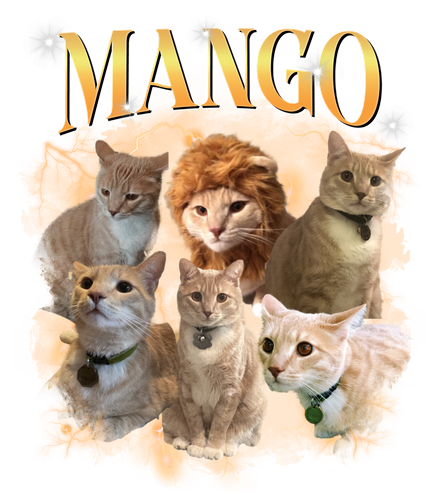 MANGO.png