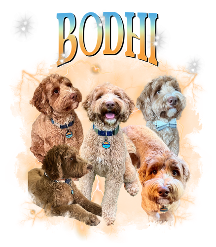 bodhi.png