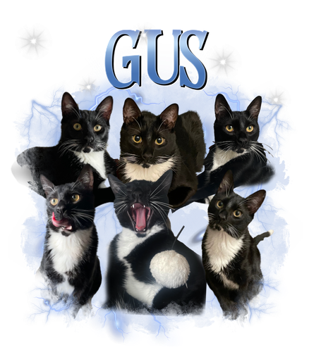 gus.png