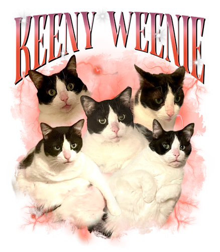 3132230486.png