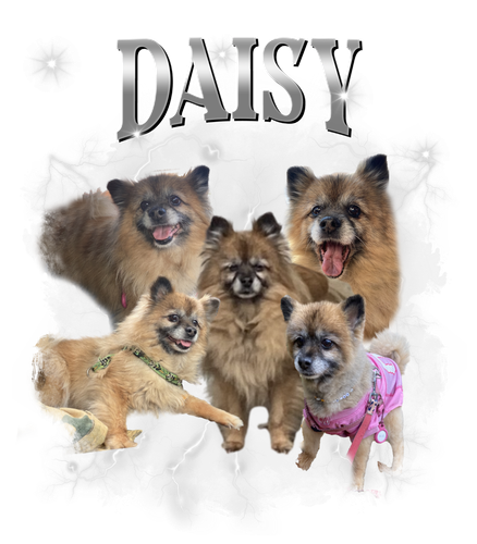 daisy.png