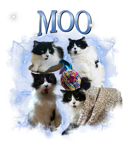 moo.png
