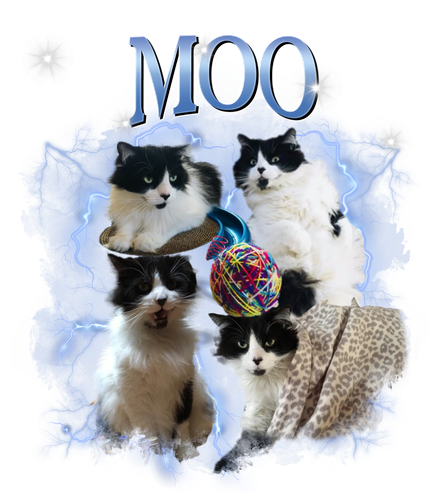 moo.png