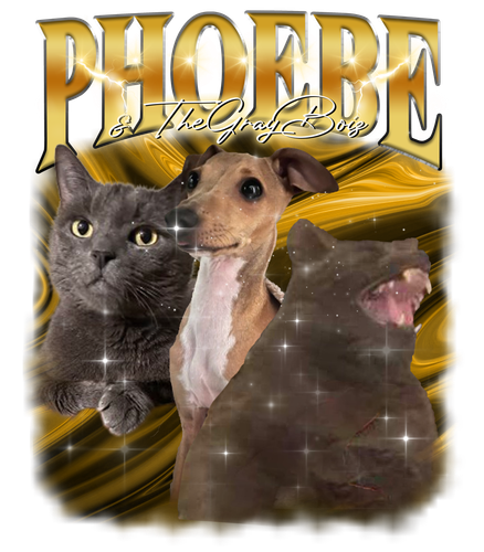Phoebe & TheGrayBoiz 2.png