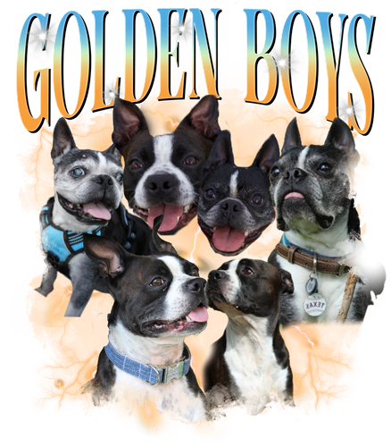 Golden Boys.png