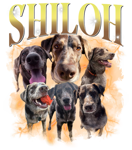 Shiloh 2.png
