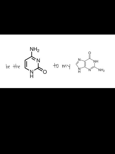 Screenshot 20231207 135356.jpg