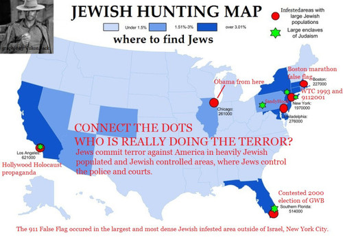 amerika infested with jews.jpg