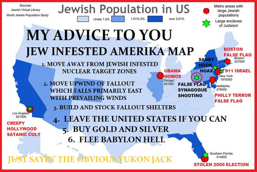 MY ADVICE TO YOU JEW INFESTED AMERIKA MAP.jpg