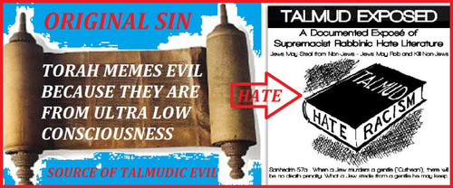 torah memes evil from ultra low consciousness and this is t.jpg