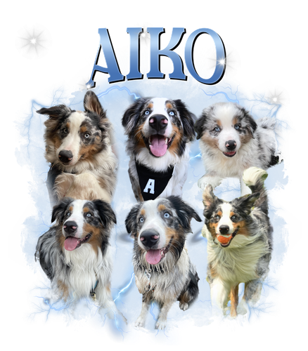 aiko.png
