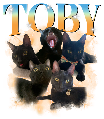 TOBY.png