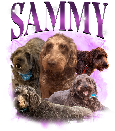 sammy.png