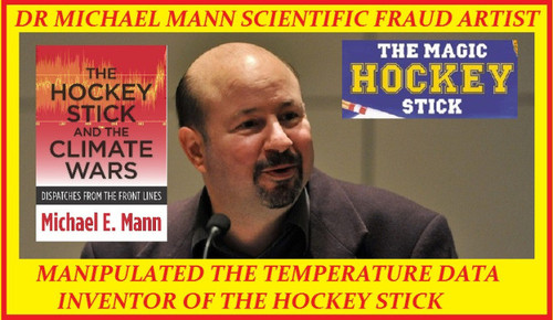 michael mann scientific fraud artist.jpg