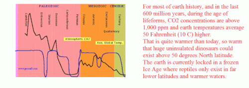1 co2earthhistory.gif