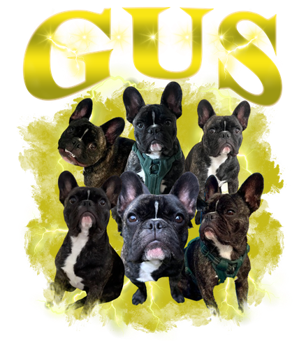 Gus.png