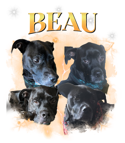 BEAU.png