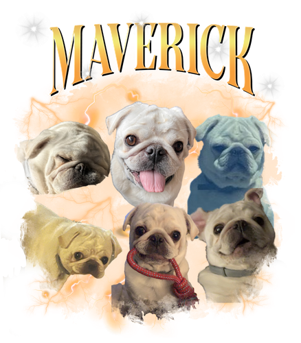 maverick.png