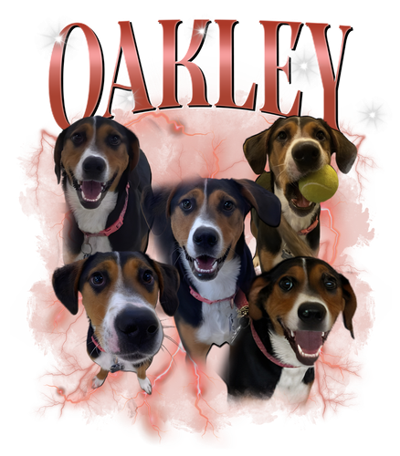 Oakley màu 2.png
