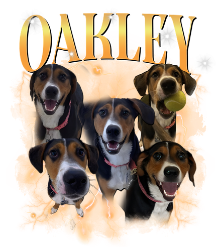 Oakley màu 3.png