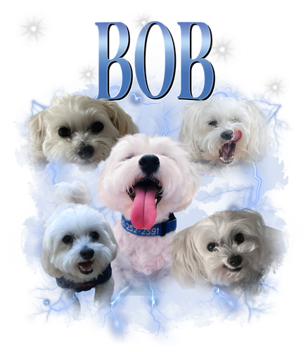 bob.png