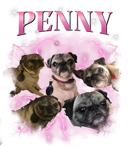 penny.png
