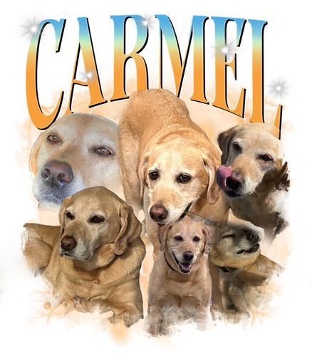 CARMEL.png