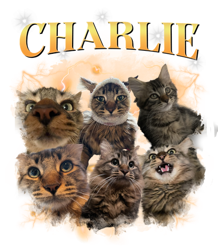 charlie.png